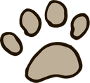 task_C01_E15.png
